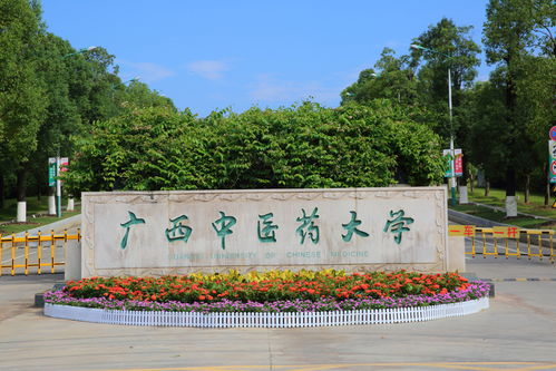 竖石有镂 镌心铭骨 广西中医药大学校园文化石刻概览