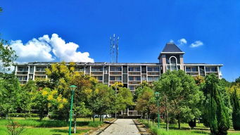 全世界都在关注黑洞,而我却在看南昌大学的调色盘