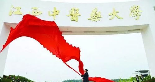 国内六所开设艺术专业的 怪大学 ,有兴趣的考生可以了解一下