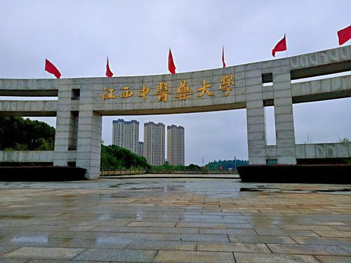江西中医药大学 遇冷 了,本科一批有294个缺额,原因引人深思