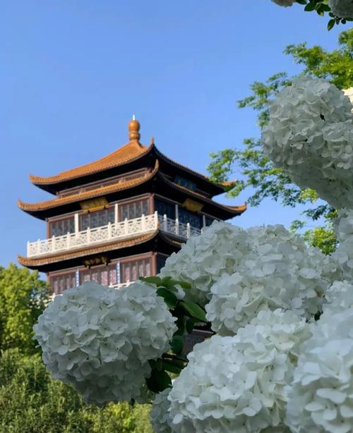 江西科技学院:南昌的专升本选择
