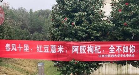 来了来了!一年一度“女生节”高校横幅大赛 你最喜欢哪一条?
