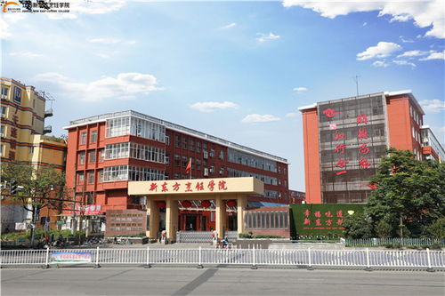 升学季,选择很重要