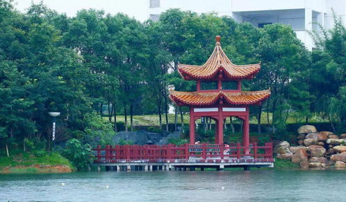 江西中医药大学,很高兴遇见你
