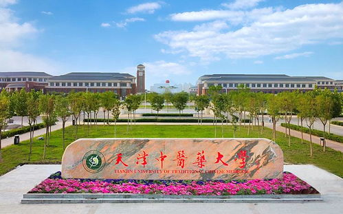 中医药大学 排名 大调整 ,北中医最强211,天中位列第三