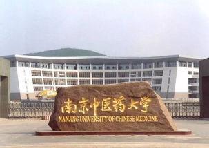 狂拽炫酷吊炸天的南京高校别称 给跪