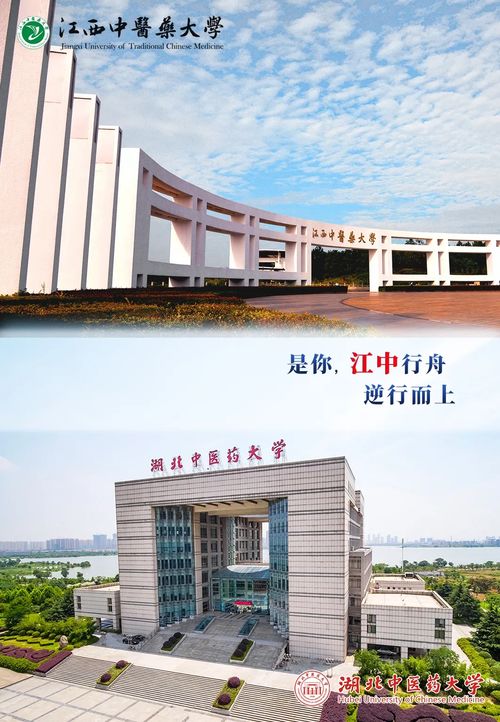 国家有难,中医人有责 全国中医药大学心手相连抗疫情