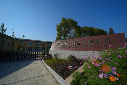 南县南洲王肉类食品与江西中医药大学 传统美食与健康科学的新探索