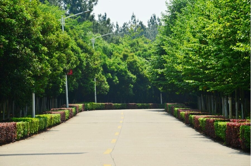 江西中医药大学校园风景